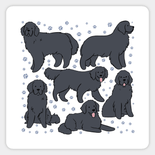 The Newfoundland dog illustration Sticker